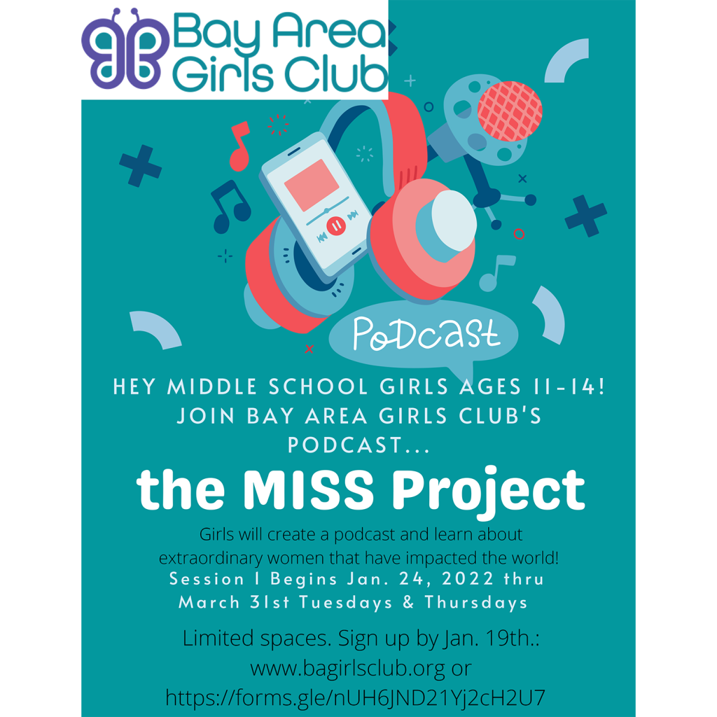 the MISS project flyer